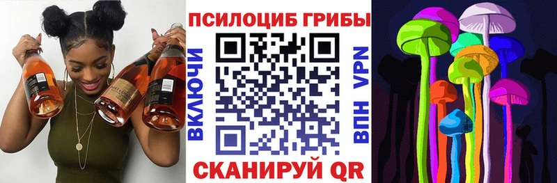 Купить  Бор  Галлюциногенные грибы Psilocybine cubensis 
